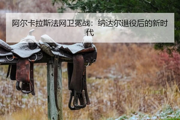 a-er-ka-la-si-fa-wang-wei-mian-zhan-na-da-er-tui-yi-hou-de-xin-shi-dai-2-263.jpg