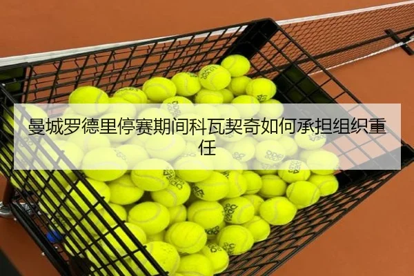 man-cheng-luo-de-li-ting-sai-qi-jian-ke-wa-qi-qi-ru-he-cheng-dan-zu-zhi-zhong-ren-3-619.jpg
